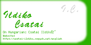 ildiko csatai business card